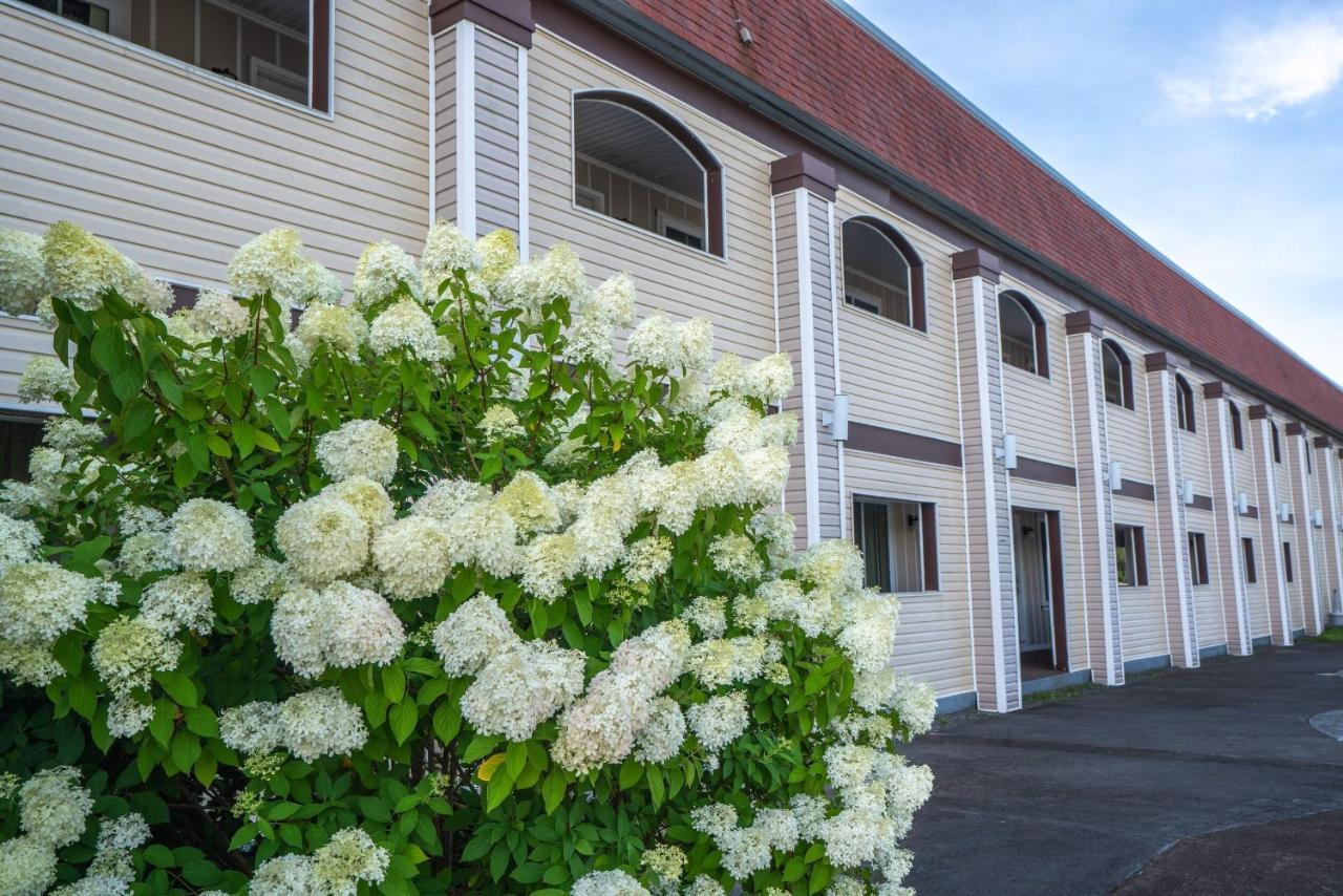 All Seasons Inn & Suites Bourne Luaran gambar